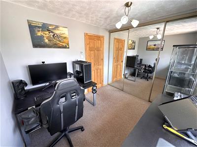Picture 13